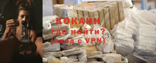 ECSTASY Белокуриха