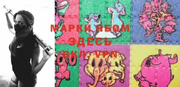 ECSTASY Белокуриха