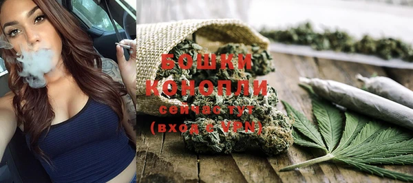 ECSTASY Белокуриха