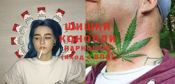 ПСИЛОЦИБИНОВЫЕ ГРИБЫ Белоозёрский