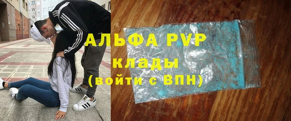 ПСИЛОЦИБИНОВЫЕ ГРИБЫ Белоозёрский