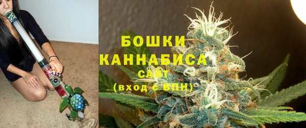 ПСИЛОЦИБИНОВЫЕ ГРИБЫ Белоозёрский