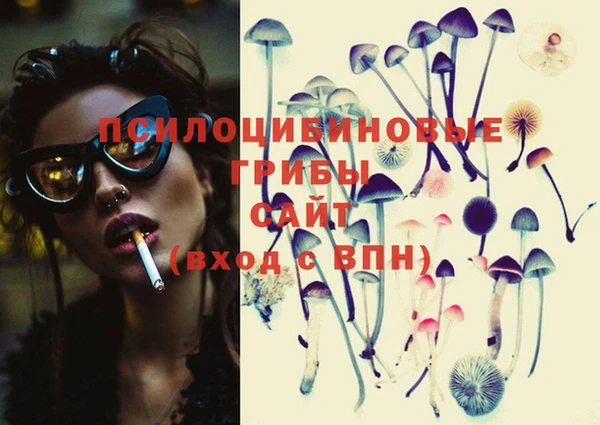 ECSTASY Белокуриха
