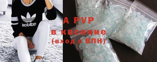 ECSTASY Белокуриха