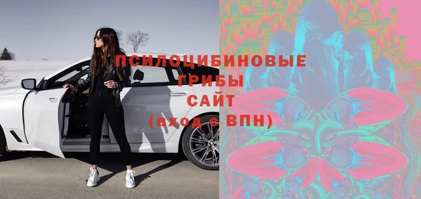 ECSTASY Белокуриха
