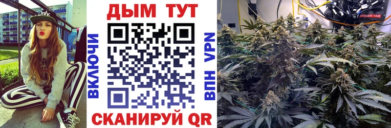 Бошки Шишки сатива Миасс